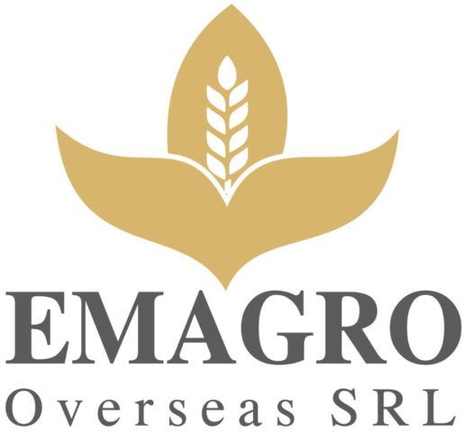 Odoo - Sample 2 for three columns